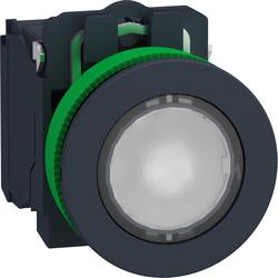 Schneider Electric XB5FW31M5 Ovl. Stiskací prosvětlený, zapuštěné provedení, s LED,  Bí, 230 V AC