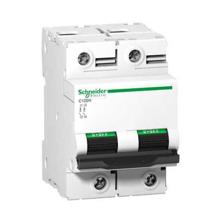 Schneider Electric A9N18415 Jistič C120H 2P 125A B