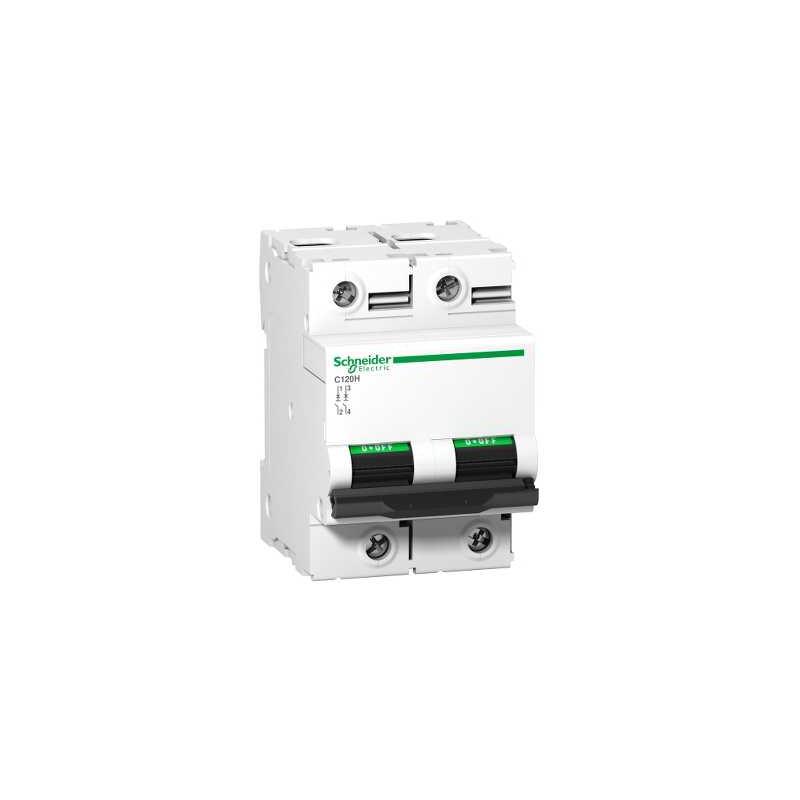 Schneider Electric A9N18415 Jistič C120H 2P 125A B