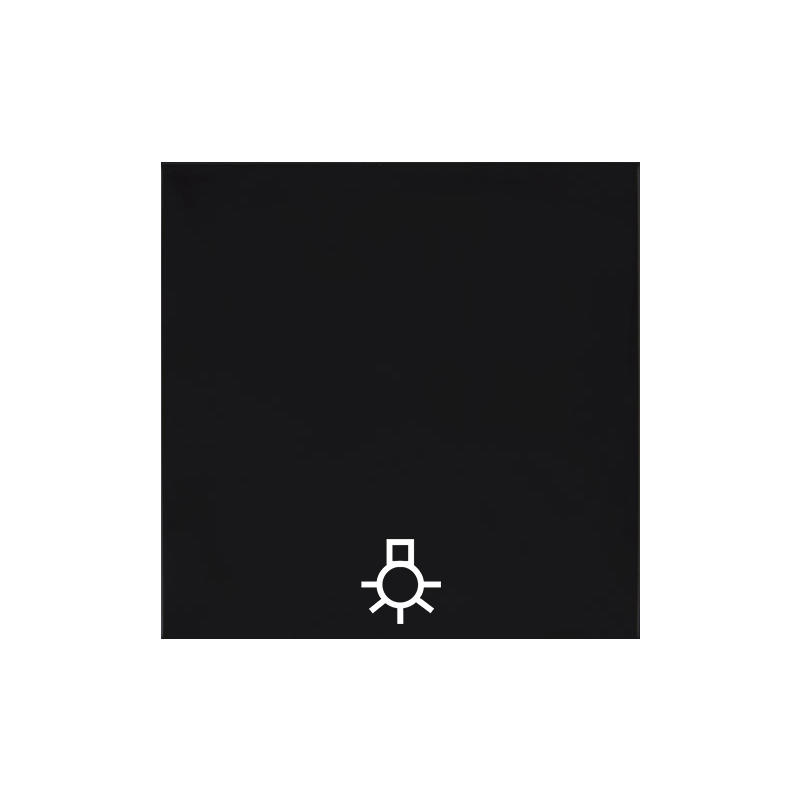 OBZOR DSE 00-01402-000000 Kryt jednoduchý se symbolem světla, antracitově černá