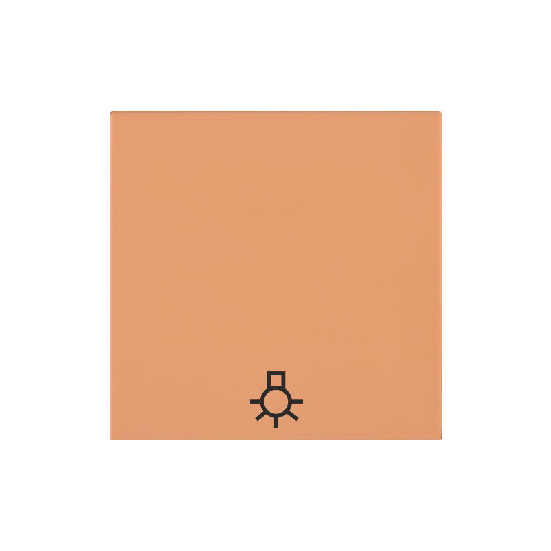 OBZOR DSE 00-01406-000000 Kryt jednoduchý se symbolem světla, broskově oranžová