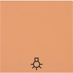 OBZOR DSE 00-01406-000000 Kryt jednoduchý se symbolem světla, broskově oranžová