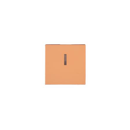 OBZOR DSE 00-03406-000000 Kryt jednoduchý s prosvětlením se symbolem světla, broskově oranžová